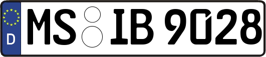 MS-IB9028