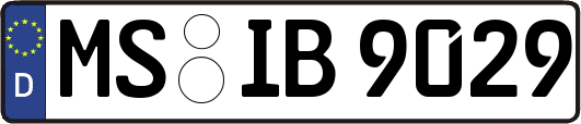 MS-IB9029