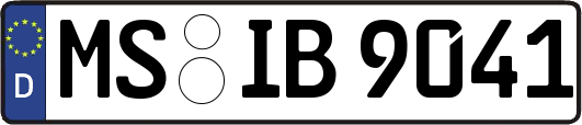 MS-IB9041