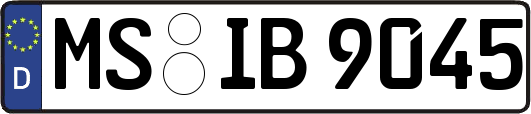 MS-IB9045