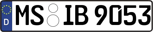 MS-IB9053