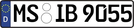 MS-IB9055