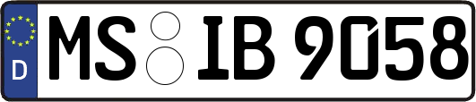 MS-IB9058