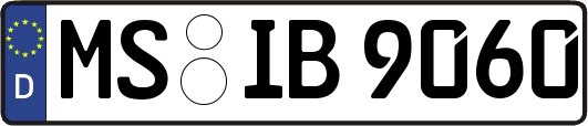 MS-IB9060