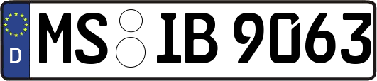 MS-IB9063