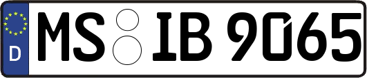 MS-IB9065