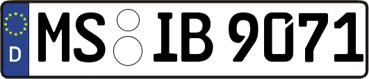 MS-IB9071