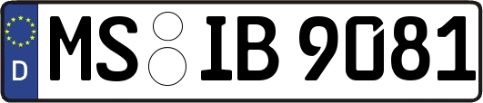 MS-IB9081