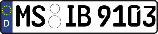 MS-IB9103
