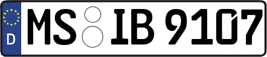 MS-IB9107
