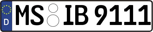 MS-IB9111