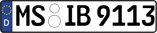 MS-IB9113