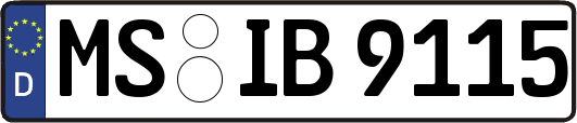 MS-IB9115