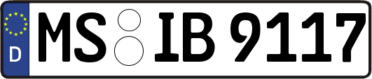 MS-IB9117