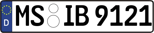 MS-IB9121