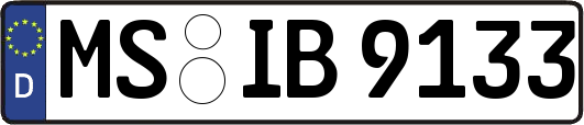 MS-IB9133