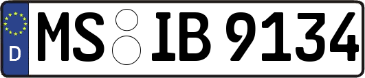 MS-IB9134