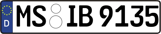 MS-IB9135