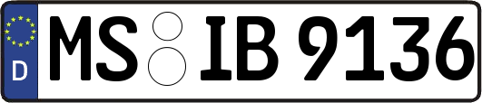 MS-IB9136
