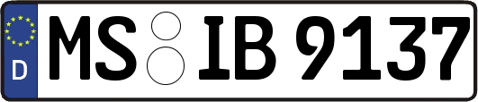 MS-IB9137