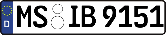 MS-IB9151