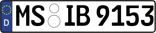 MS-IB9153