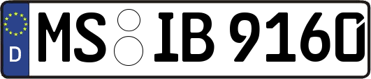 MS-IB9160