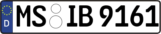 MS-IB9161