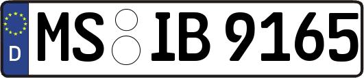 MS-IB9165
