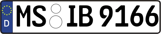MS-IB9166