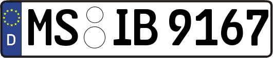 MS-IB9167