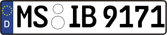 MS-IB9171
