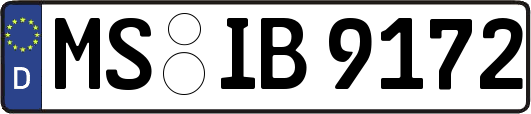 MS-IB9172