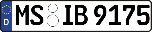 MS-IB9175