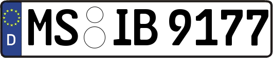 MS-IB9177