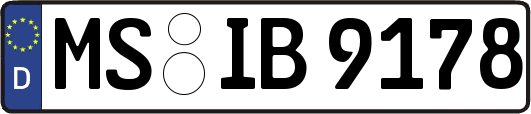 MS-IB9178