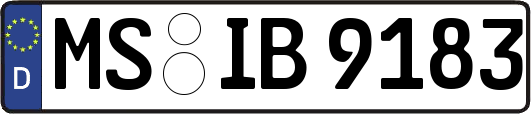 MS-IB9183