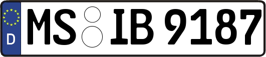 MS-IB9187