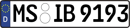 MS-IB9193