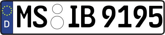MS-IB9195