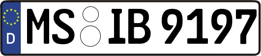 MS-IB9197