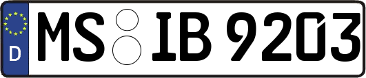 MS-IB9203
