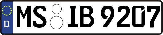 MS-IB9207