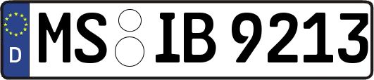 MS-IB9213