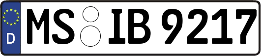 MS-IB9217