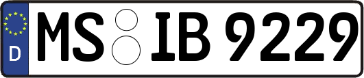 MS-IB9229