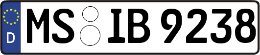 MS-IB9238