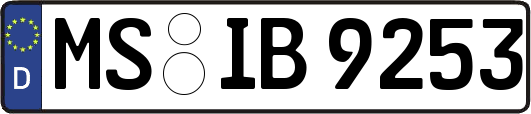 MS-IB9253