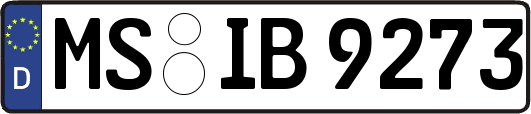 MS-IB9273