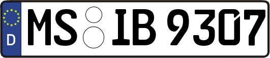 MS-IB9307